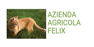 azagricolafelix